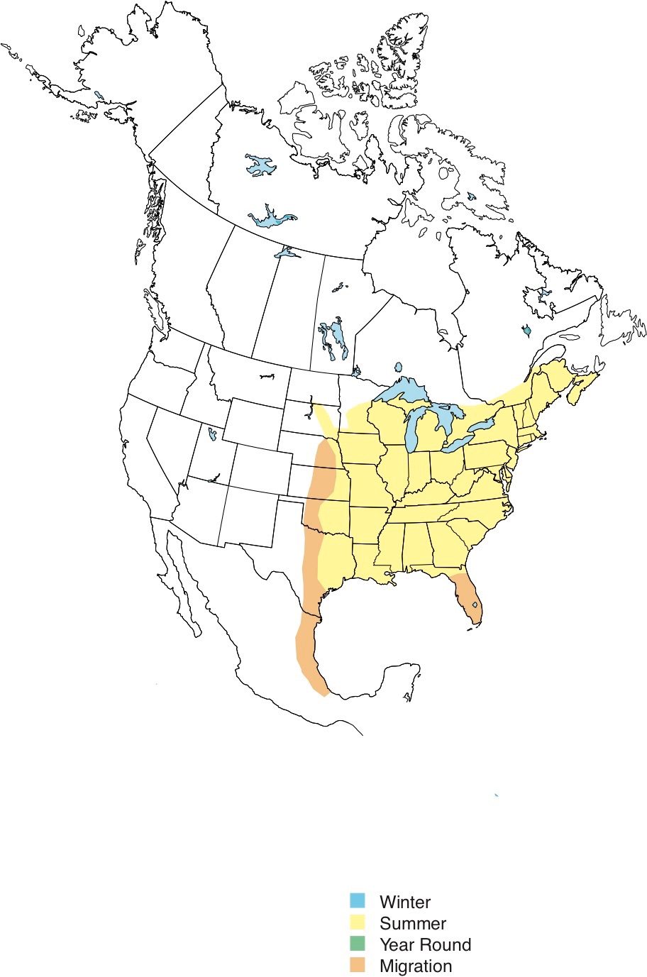 Wood Thrush Map