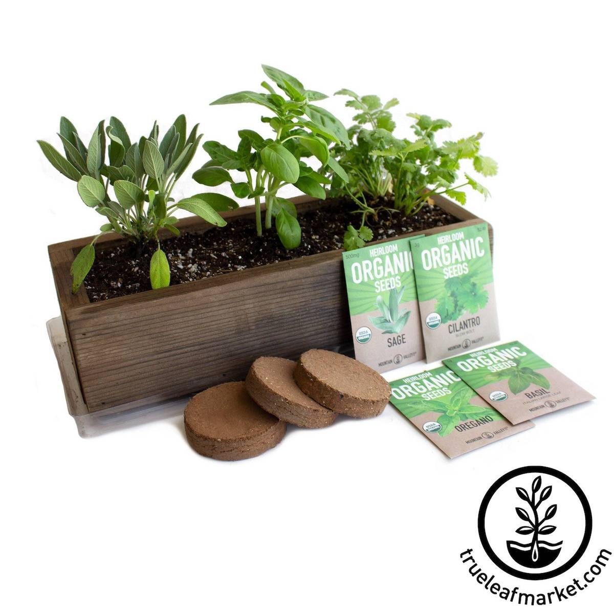 indoor herb garden kit