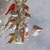 Switch Up Your Bird Feeding Habits to See New Species