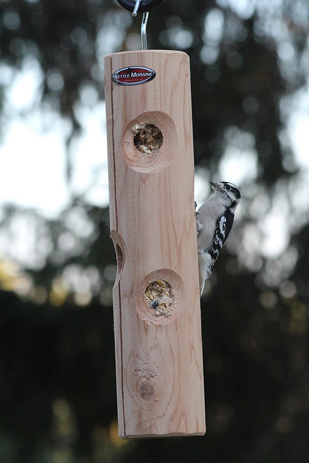 log suet feeder