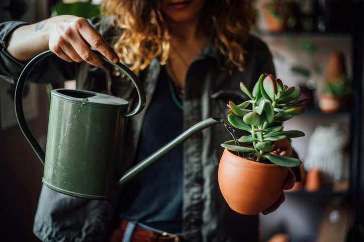 Woman watering flowers