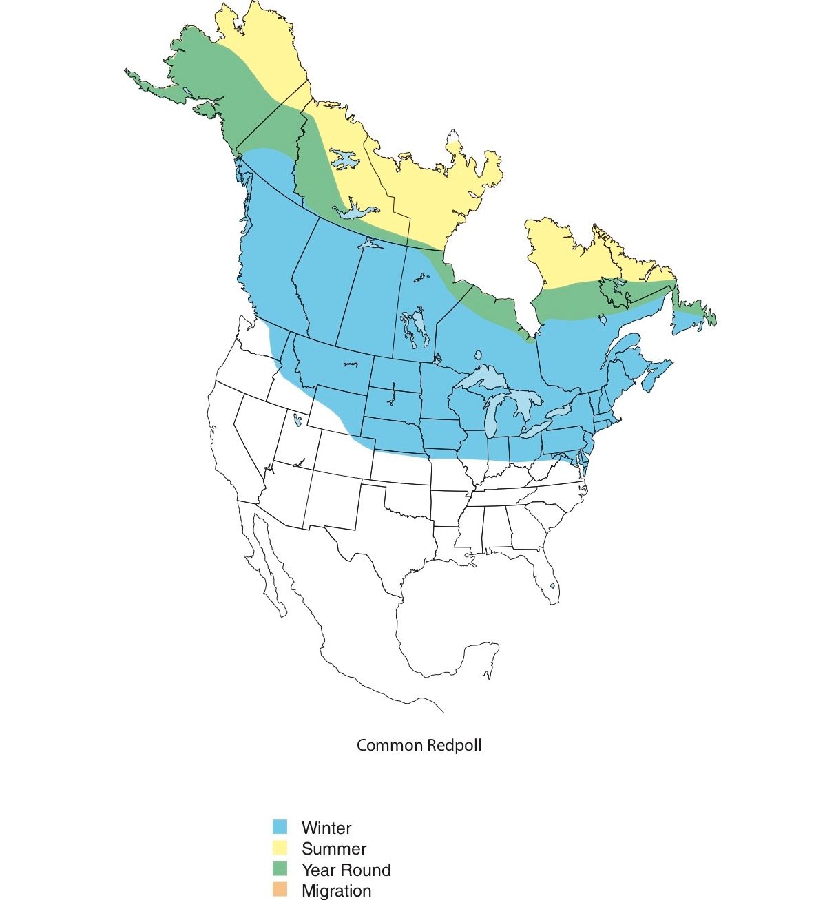 Common Redpoll Map