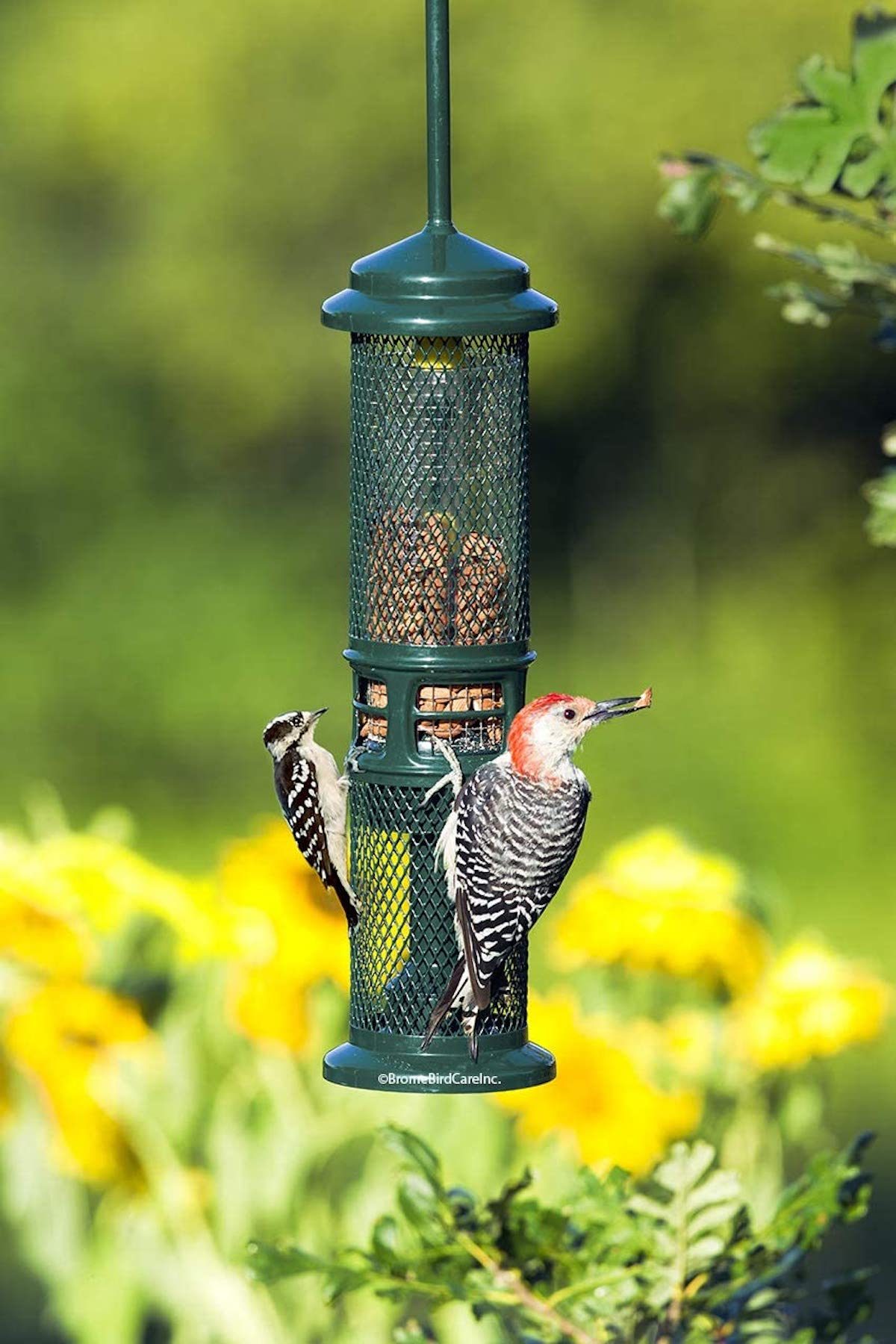 Squirrel Buster nut bird feeder