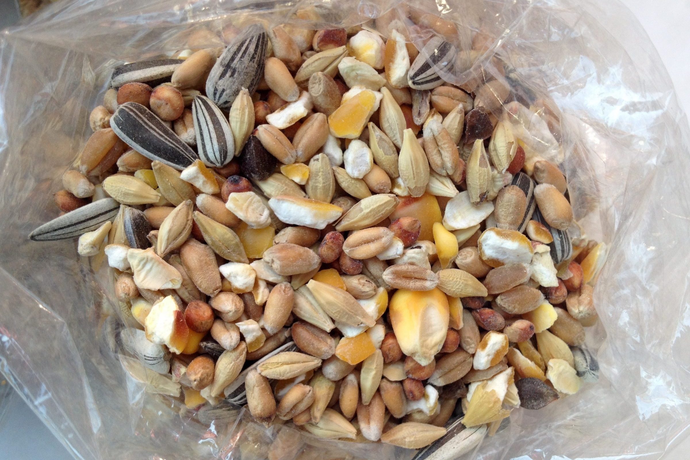 old bird seed in a plastic bag