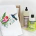 11 Hummingbird Decor Items for Homes and Gardens