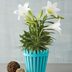 12 Easter Flower Arrangements We’re Ordering This Spring