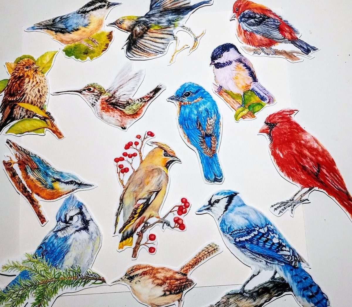 bird stickers