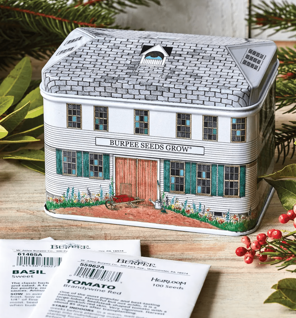 seed tin