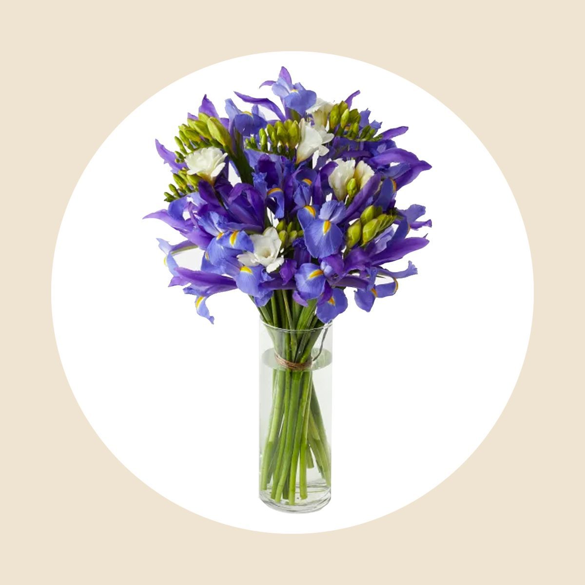 The Purple Iris Ecomm Via Urbanstems Com