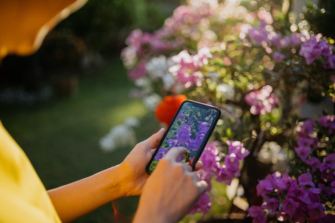 garden hacks