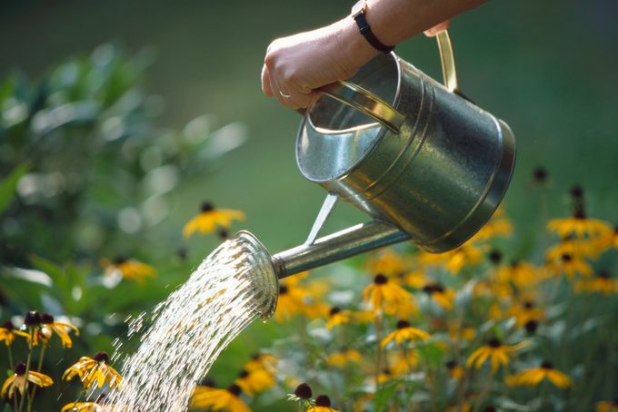 Watering Flower Garden
