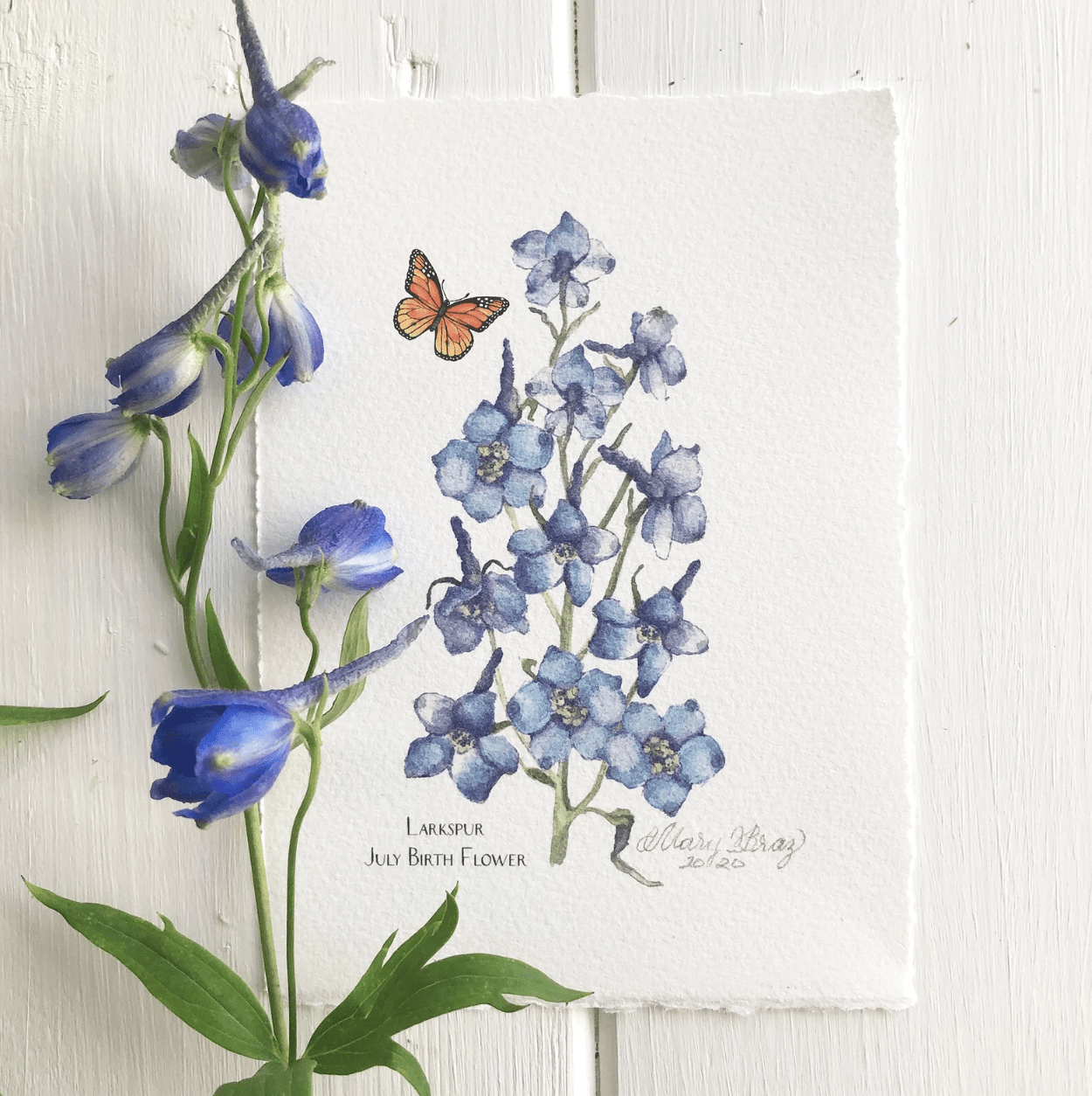 july birth flower