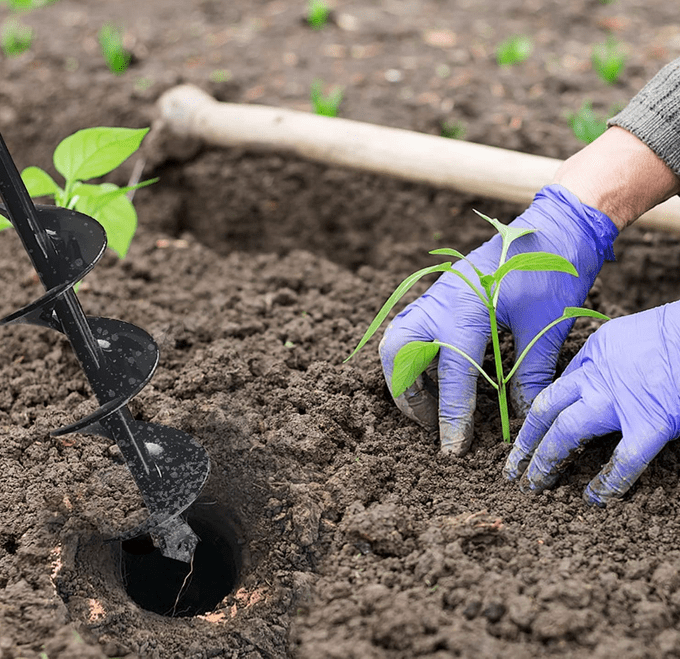 auger bulbs, garden hacks
