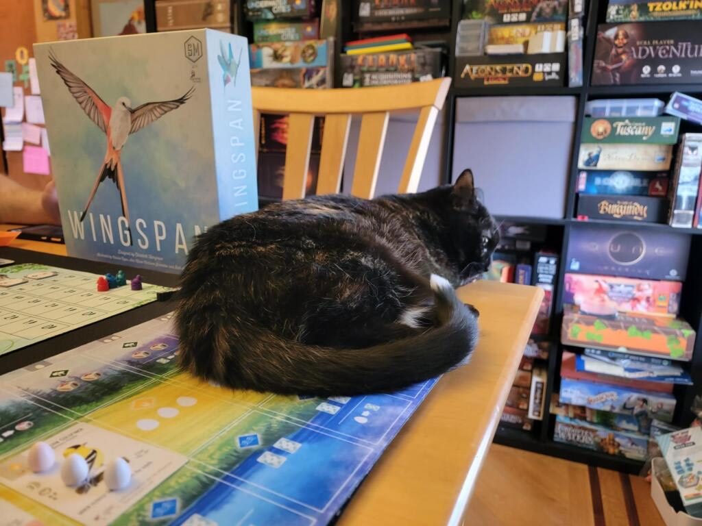wingspan board game