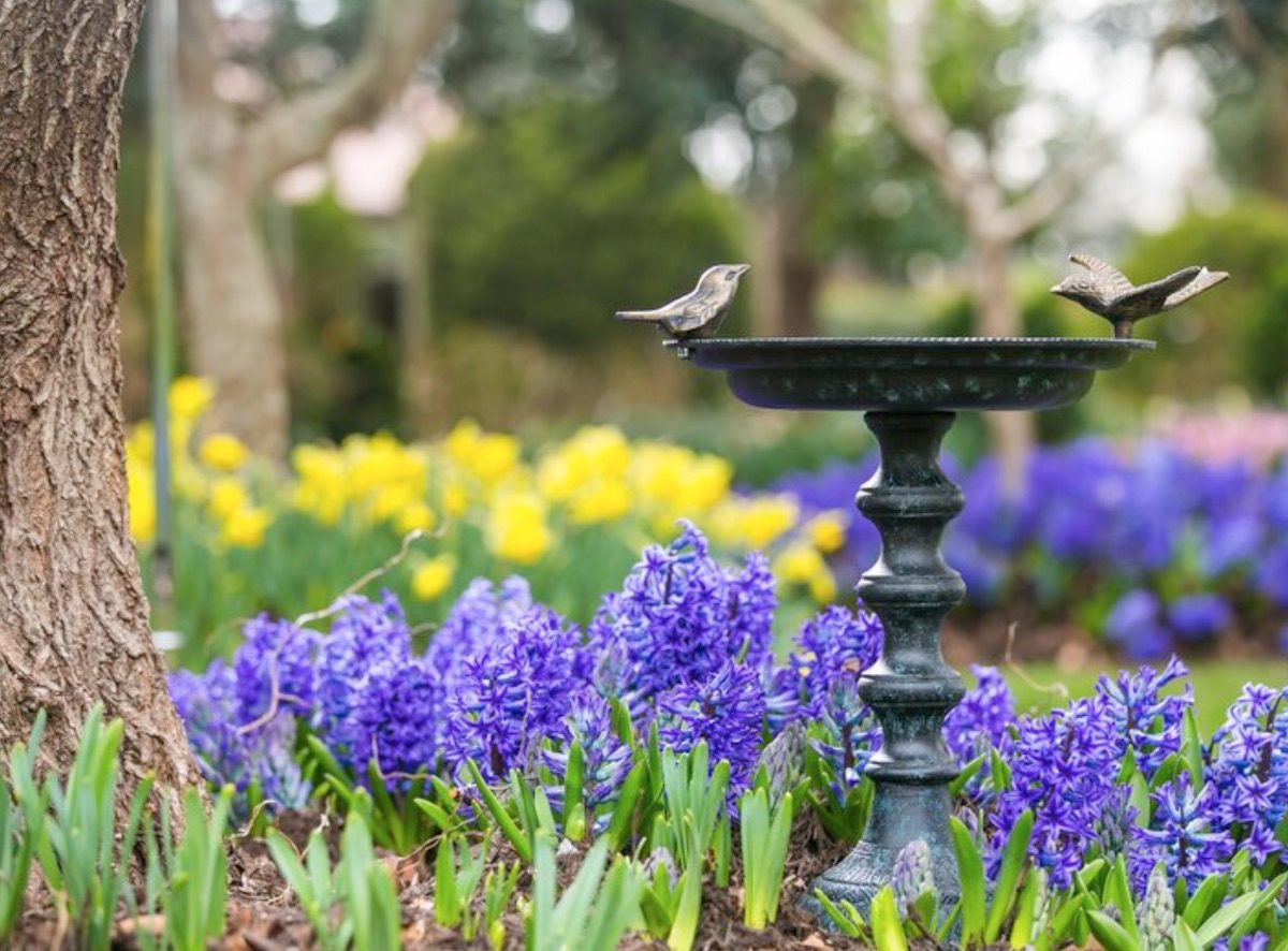 Wayfair Bird Bath, mothers day gifts gardening
