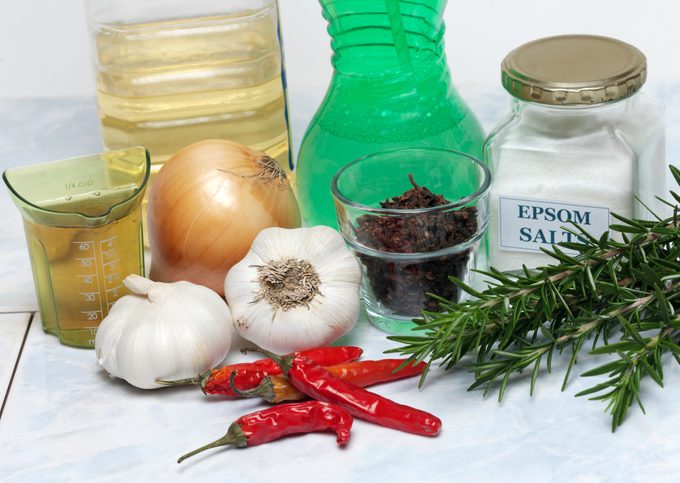 epsom salt for garden