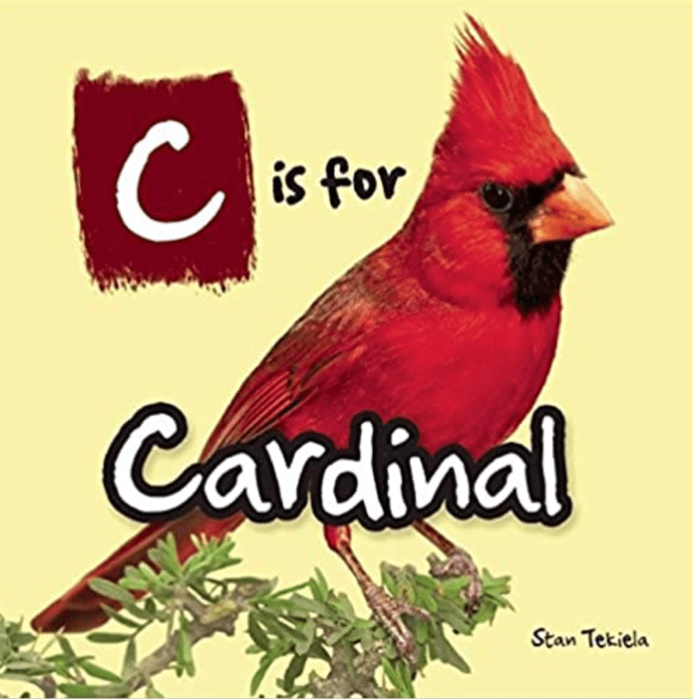 childrens book on birds