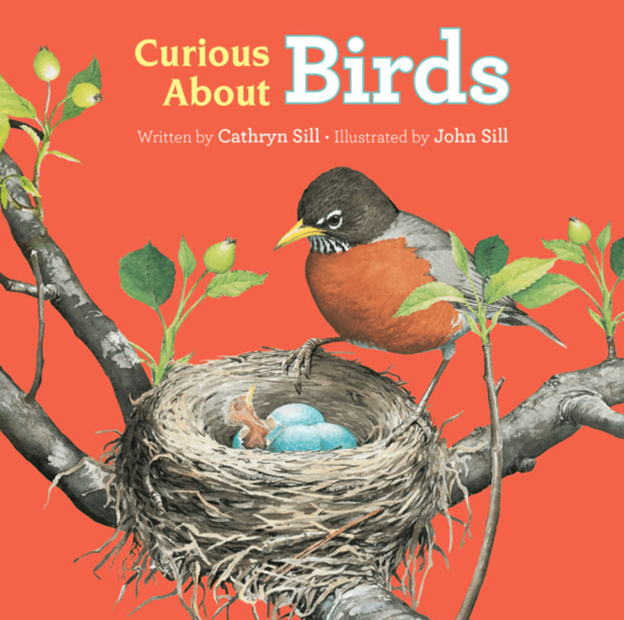 childrens books on birds