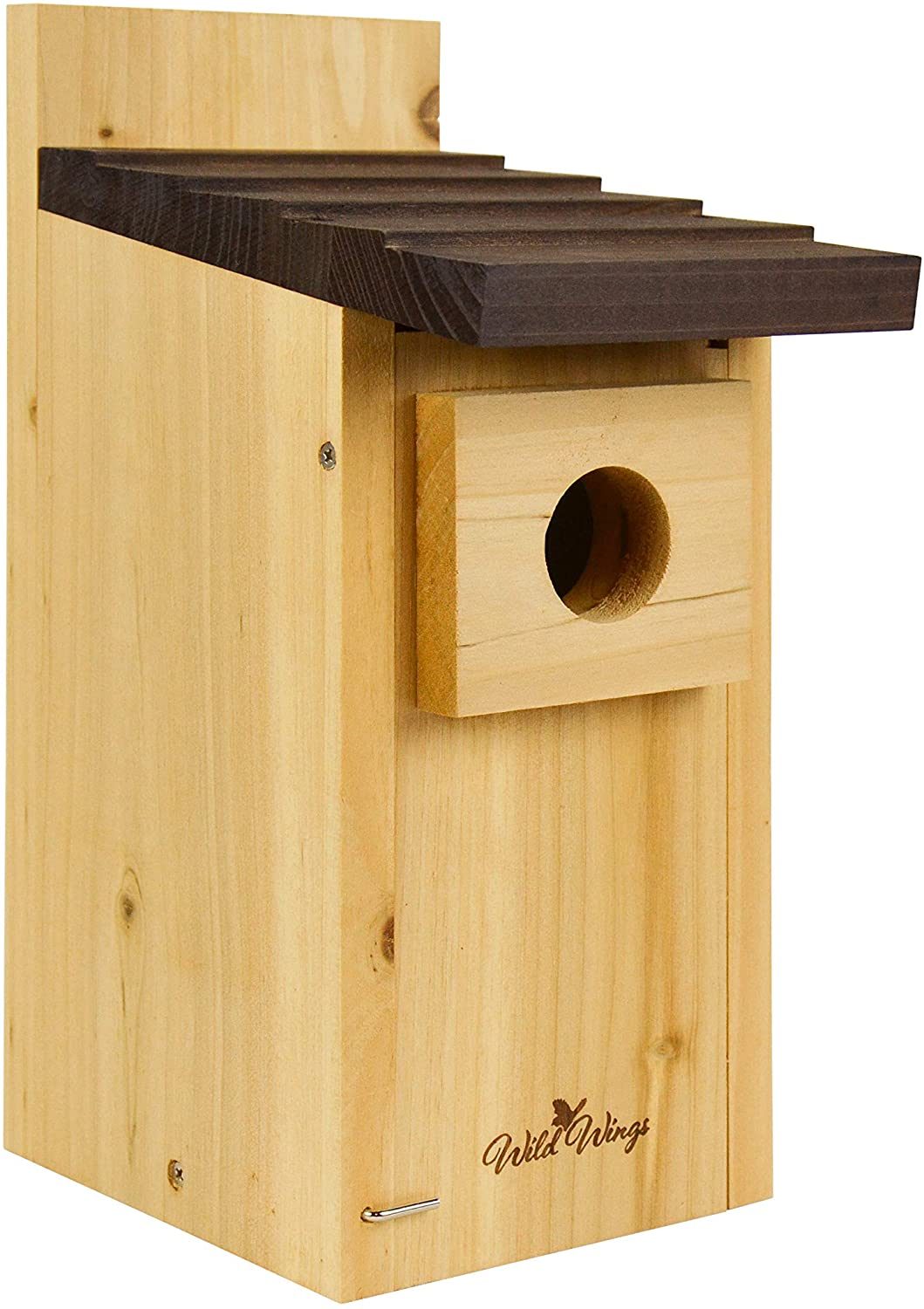 tree swallow house