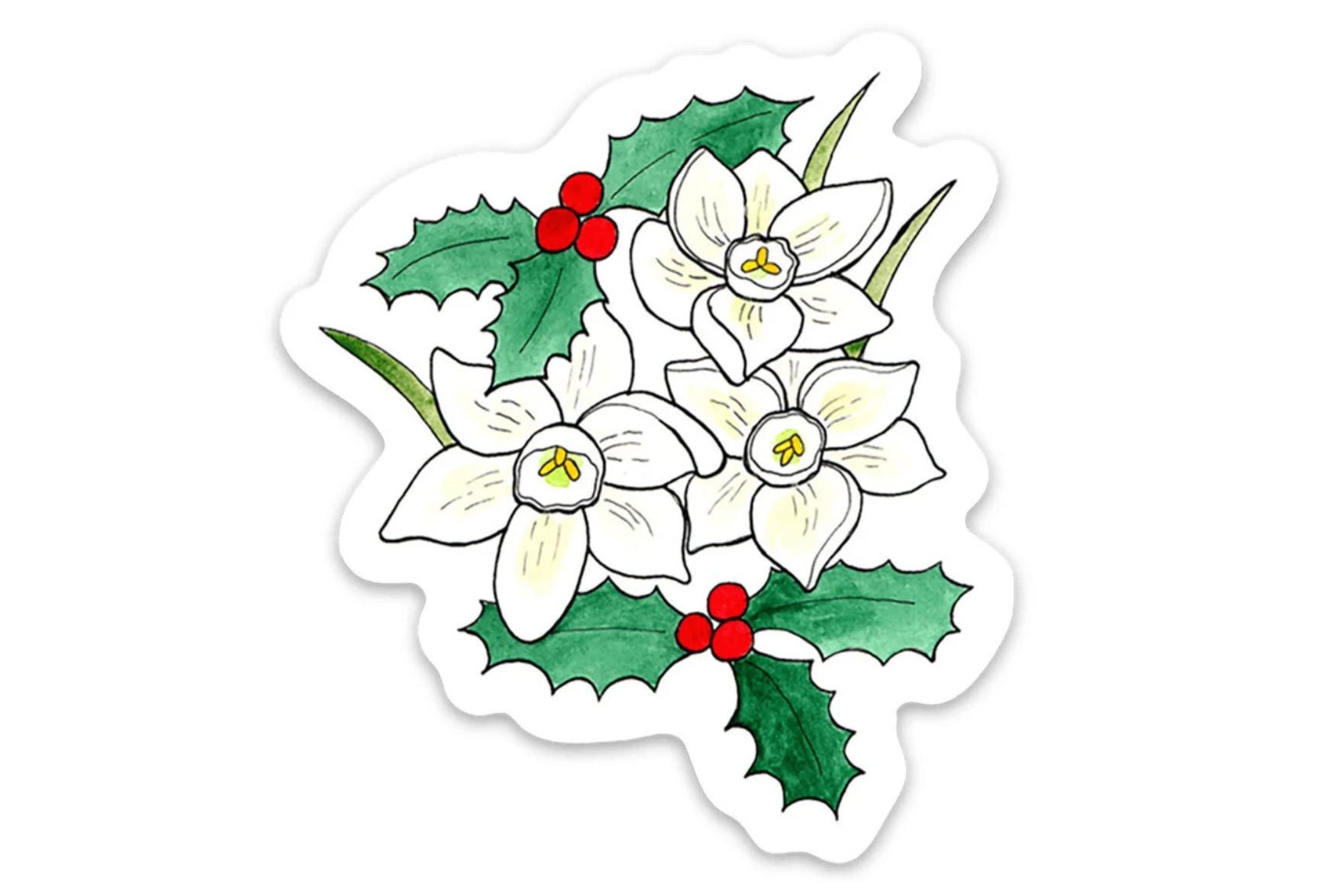 Narcissus And Holly December Birth Flower Vinyl Sticker
