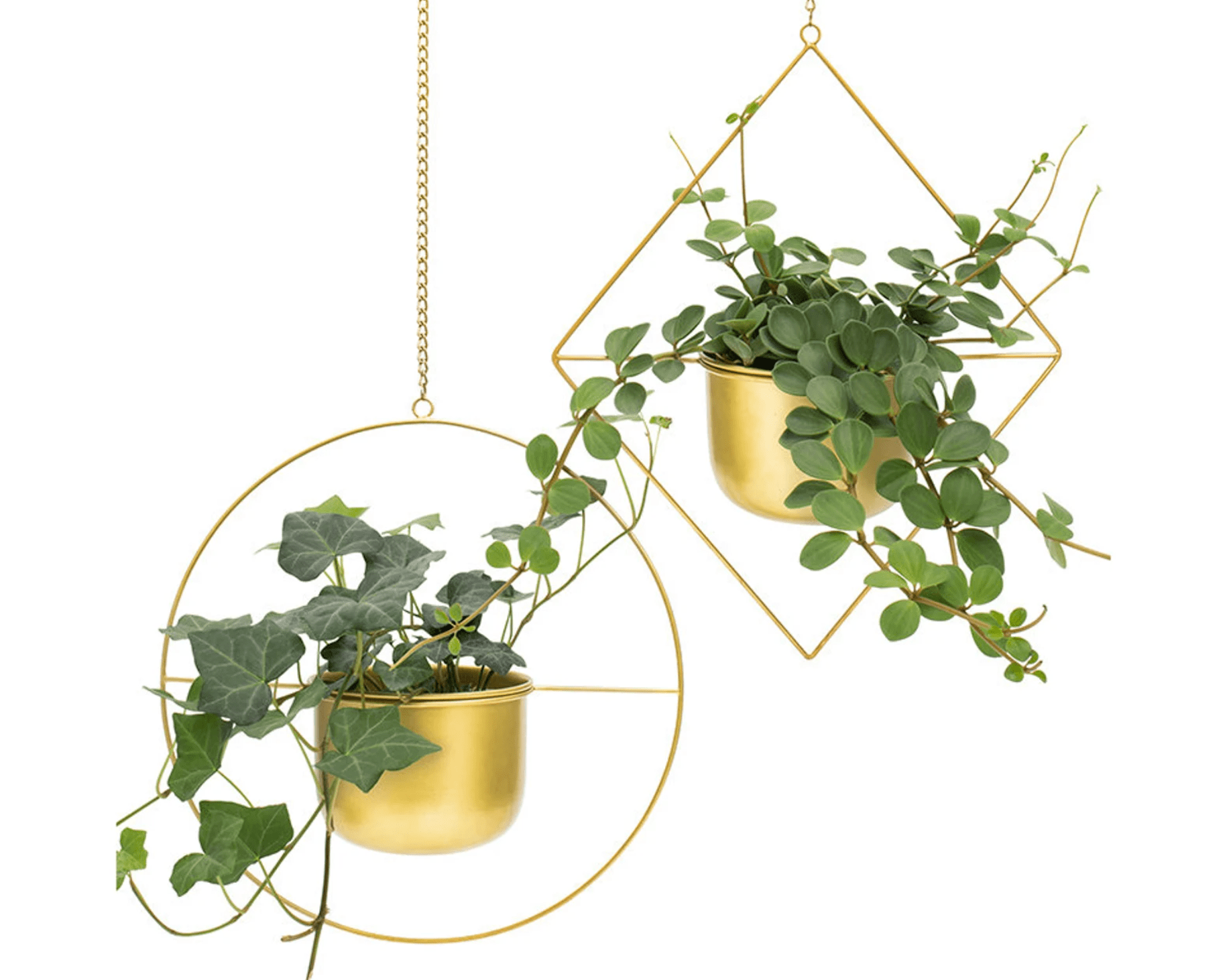 hanging baskets