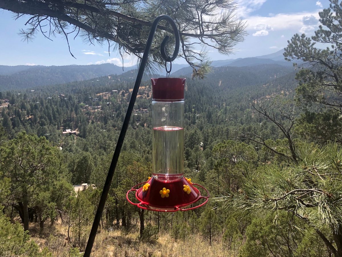 perky pet glass hummingbird feeder