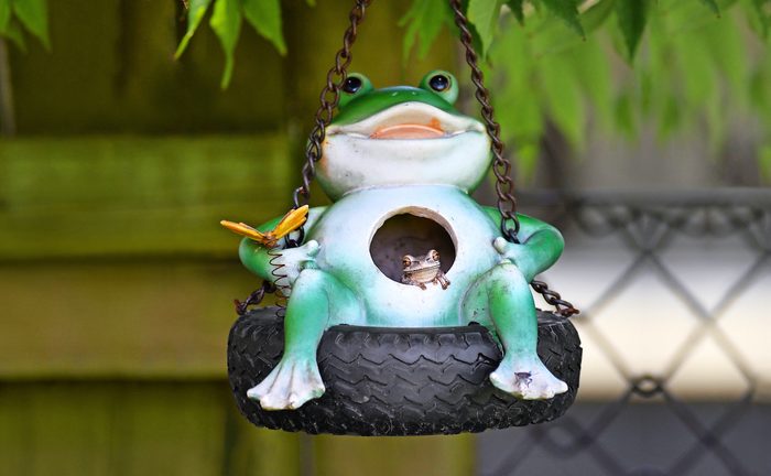 18 Chase heinrich Bbxmar21, funny frog pictures