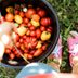 12 Mistakes You’re Making With Tomato Plants