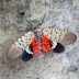 The Invasive Spotted Lanternfly Is Spreading: Protect Your Yard
