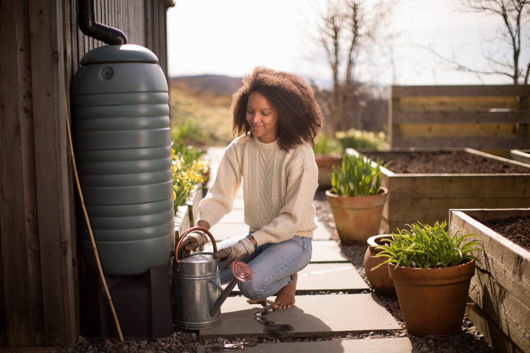 rain barrel, xeriscaping