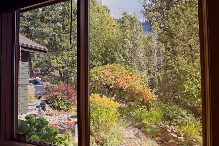 02 Landscaper Wont Tell You Window View