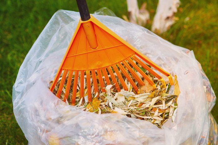 04 Landscaper Wont Tell You Bagging Leaves