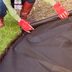 19 Things Your Landscaper Won’t Tell You