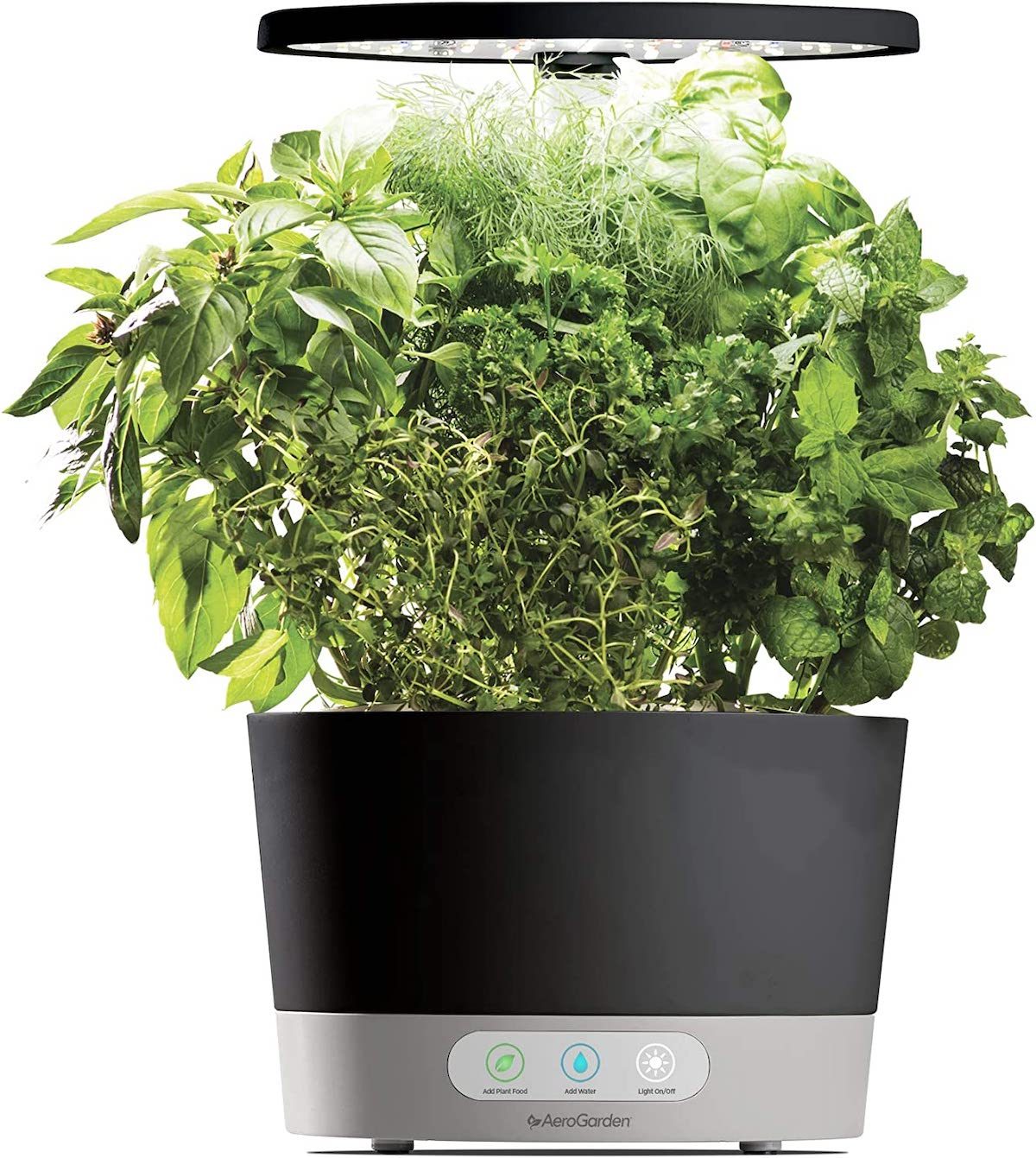 aerogarden