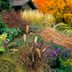 Grow a Gorgeous Fall Garden Your Birds Will Love
