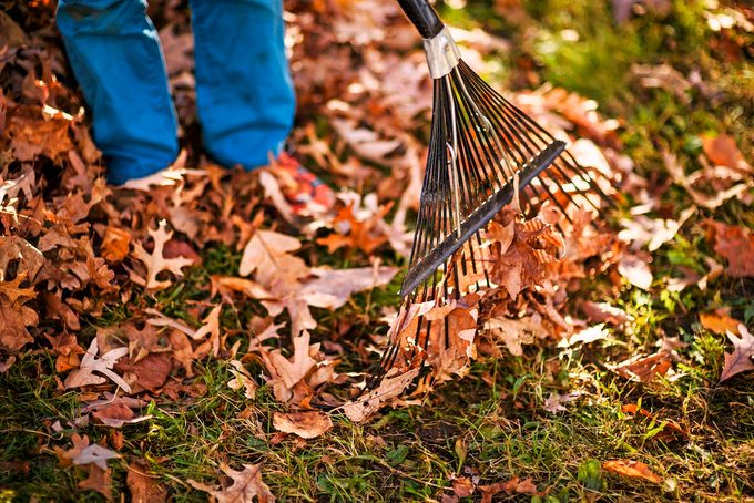 Boy Raking Autumn Leaves