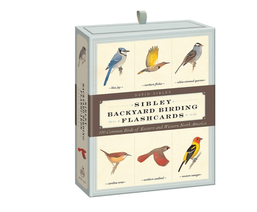 bird flash cards, bird watching gifts