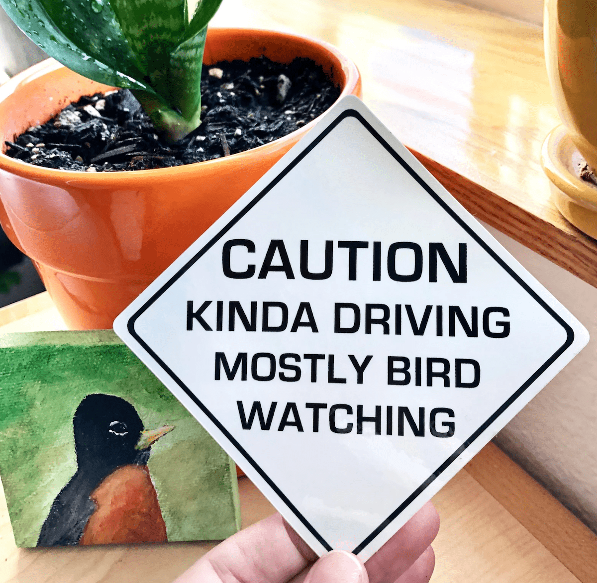 birding sticker, bird watching gifts