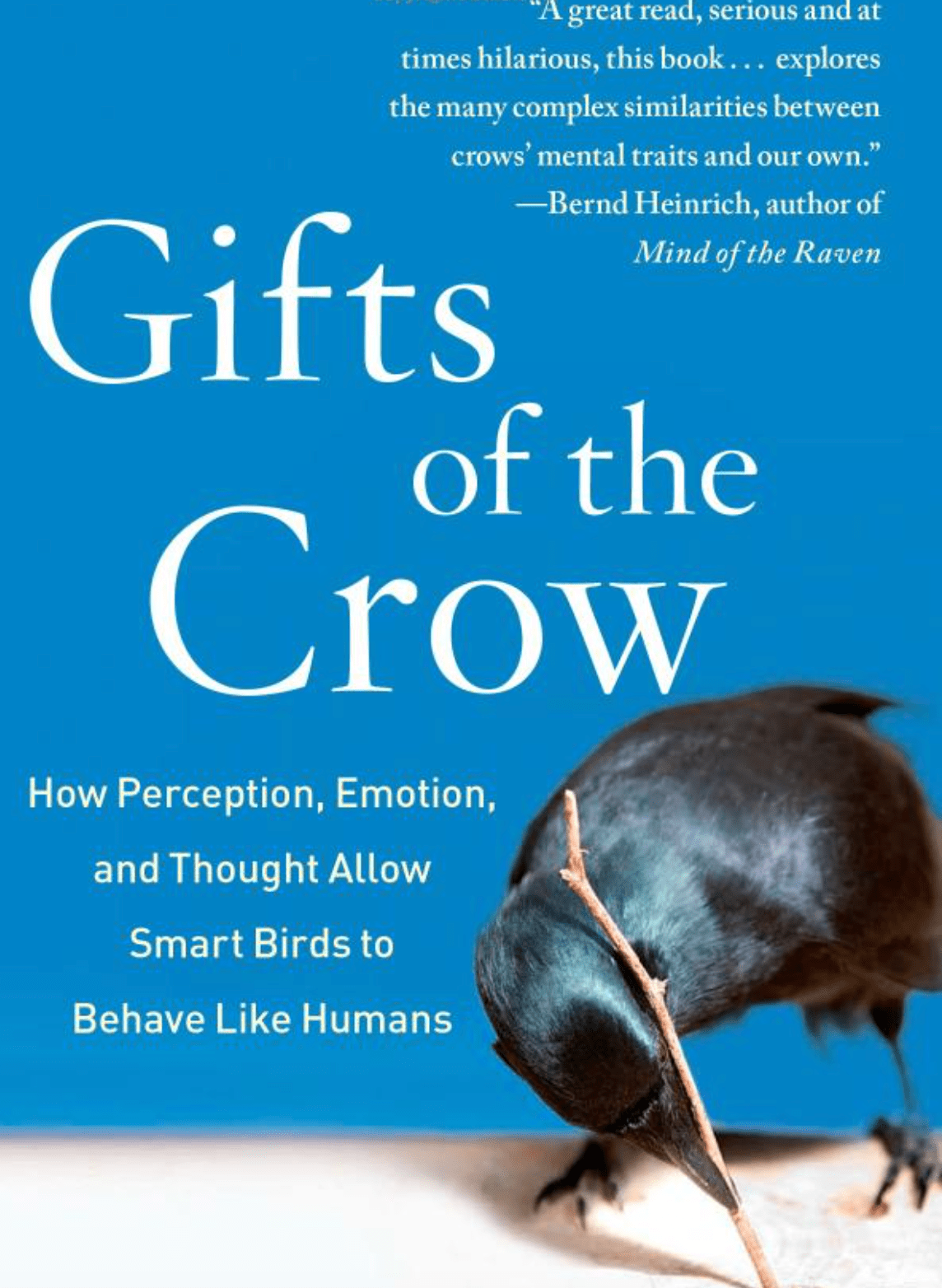 crow book