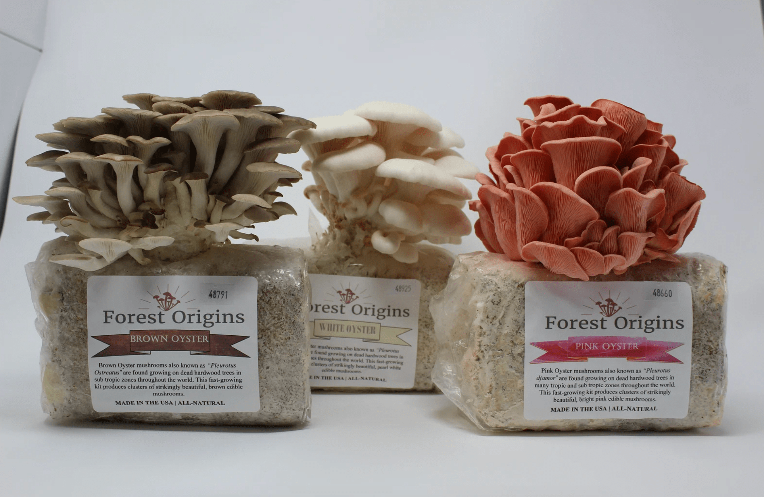 mushroom growing kit