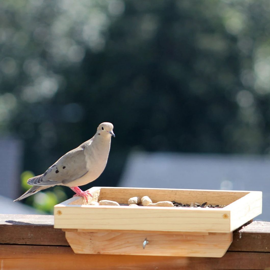 Railing Mounted Tray Bird Feeder Ecomm Via Etsy.com