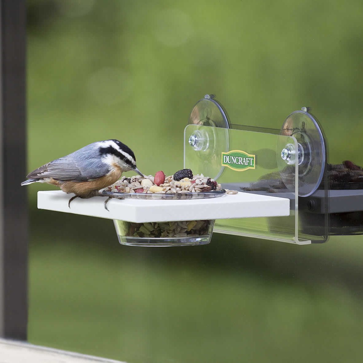 Window Easy Serve Feeder Ecomm Via Duncraft.com