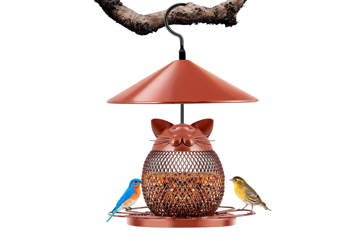 Bird Feeder, Wild Bird Feeders Ecomm Amazon.com