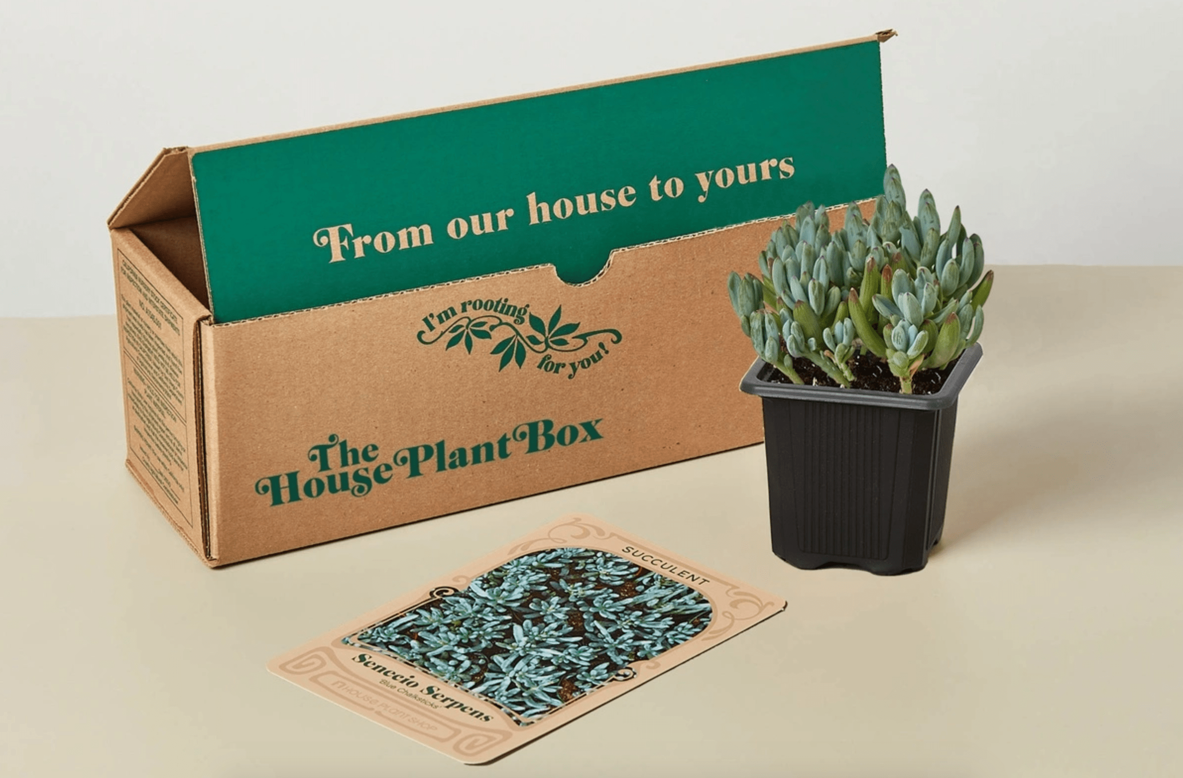 subscription box