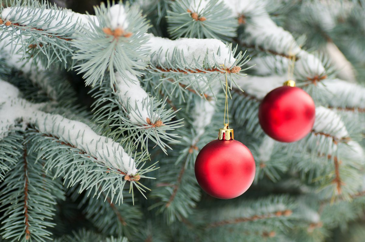 Shutterstock 122212507