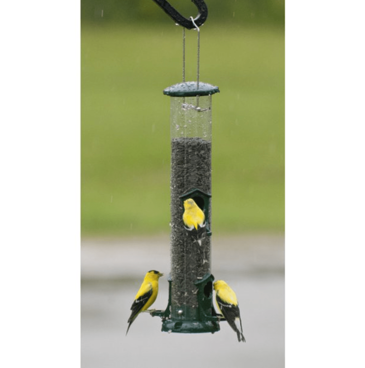 woodlink tube bird feeder