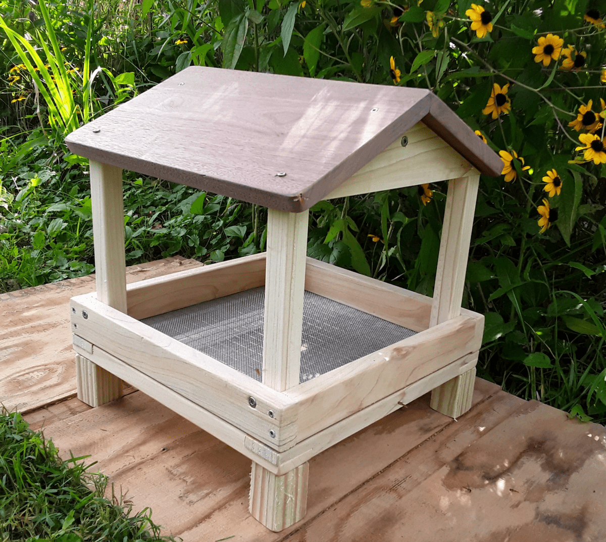 elevated tray feeder