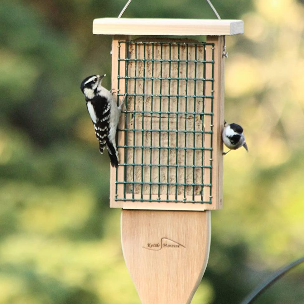 Kettle Moraine Cedar Double Suet Cake Ecomm Via Amazon.com