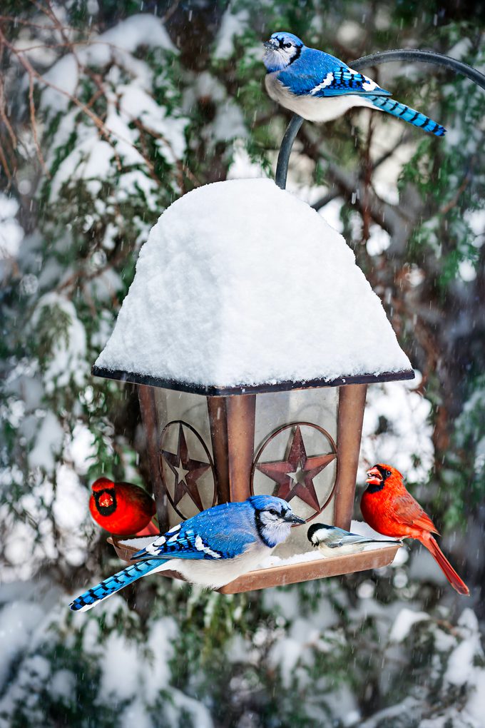 Shutterstock 136965290