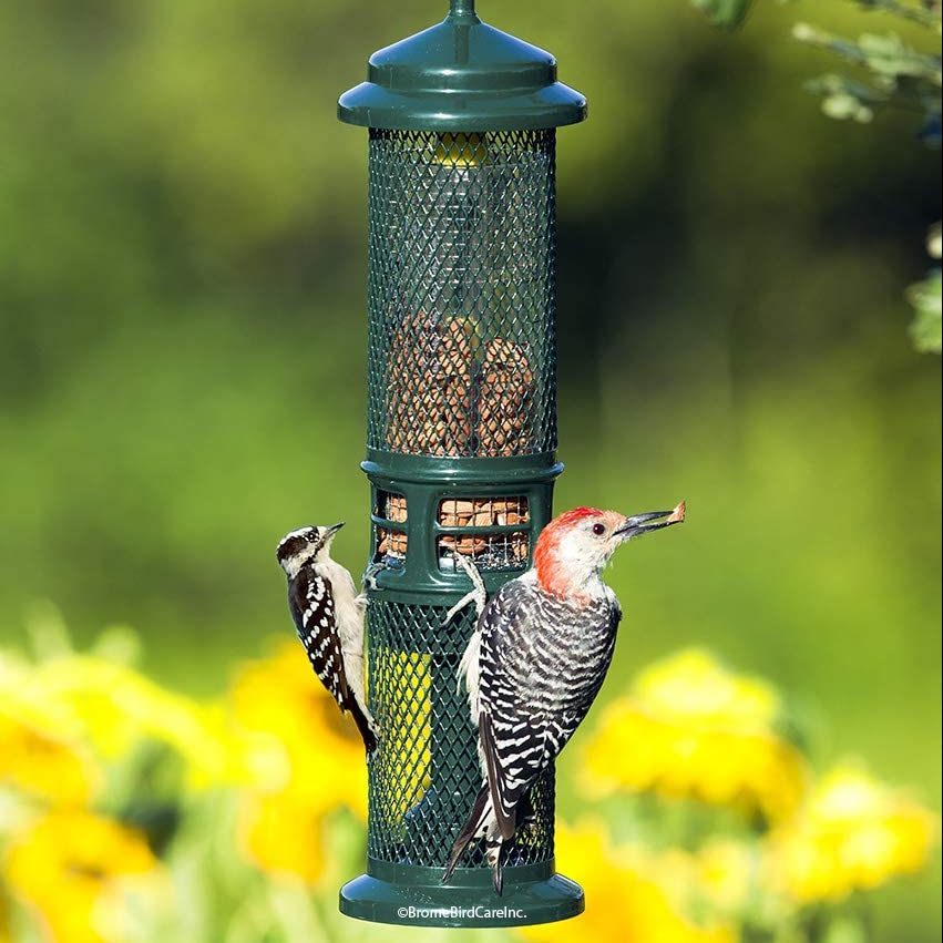 Squirrrel Buster Nut Feeder Ecomm Via Amazon.com